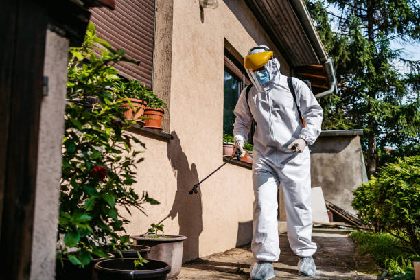 Reliable Accokeek, MD Pest Control Solutions