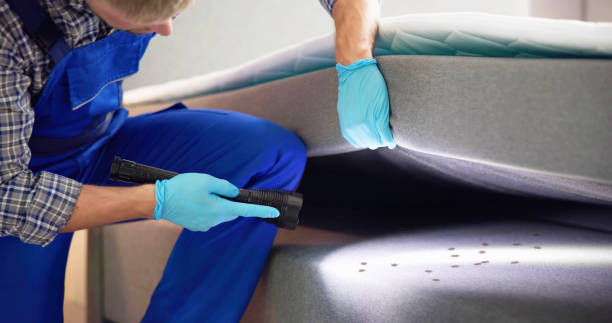 Best Pest Removal Services  in Accokeek, MD